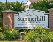 935 Ferndale Street N Unit #306, Maplewood image