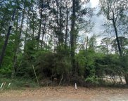 TBD10 Hollow Forrest, Trinity image
