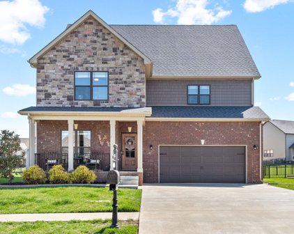 1142 N Ja Tate Dr, Clarksville