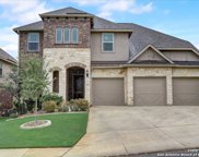 13719 Astros Ln, San Antonio image