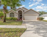 16045 Blossom Hill Loop, Clermont image