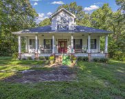 481 Mt Pleasant Road, Monetta image