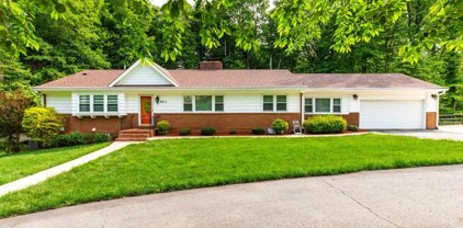 6912 Cherry Ln, Annandale