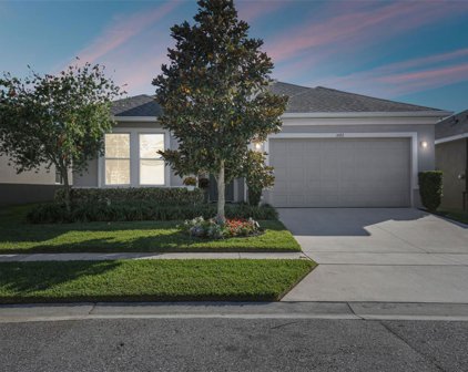 1072 Alder Tree Drive, Apopka
