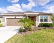 12946 Satin Lily Drive, Riverview image