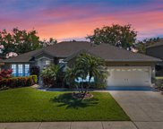 4248 Fawn Meadows Circle, Clermont image