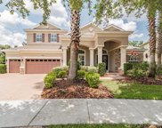15427 Starling Crossing Drive, Lithia image