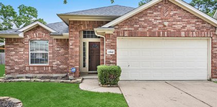 13942 Tribe Drive, Cypress