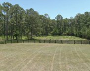 164 Gilded Street, Bluffton image