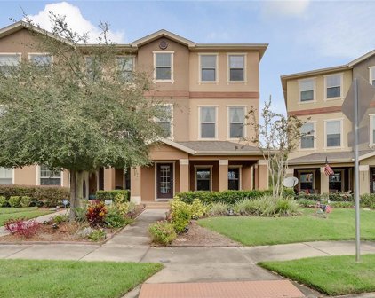10005 Town Lake Drive, Orlando