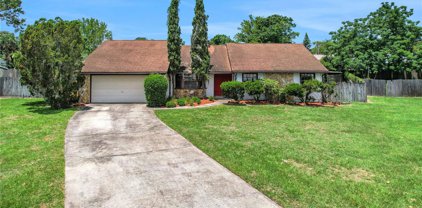 4214 Forrestal Avenue, Orlando