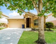 3025 Muntjac St, Schertz image