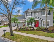 16171 Colchester Palms Drive, Tampa image