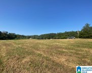 1000 Mount Moriah Road Unit Tract 1  - 1.38 Ares, Pell City image