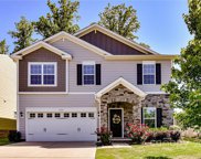 1524 Spring Blossom  Trail, Fort Mill image