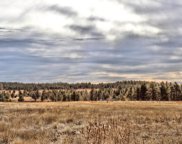 Tr 9 Turkey Trail, Custer image