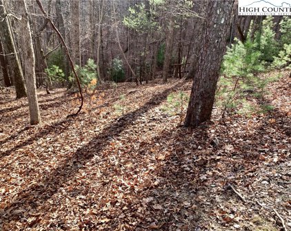 TBD Bear Paw Road Road, Deep Gap