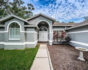 14901 Sugar Cane Way, Clearwater image