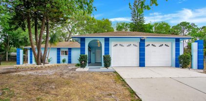7001 Halifax Court, Tampa