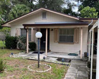 1809 White Avenue, Orlando