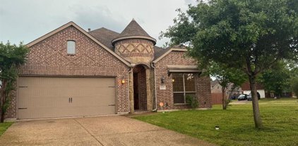 3127 Clear Springs  Drive, Forney