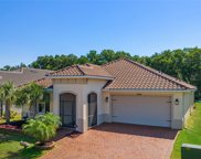 3841 Carrick Bend Drive, Kissimmee image
