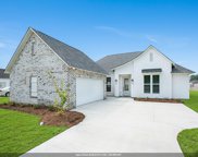 39215 Canopy Ct, Gonzales image