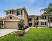 4335 Waterford Landing Drive, Lutz image