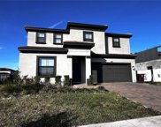 249 Macaulay S Cove, Haines City image