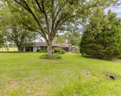 5301 BOWDENS POND Road, Dearing