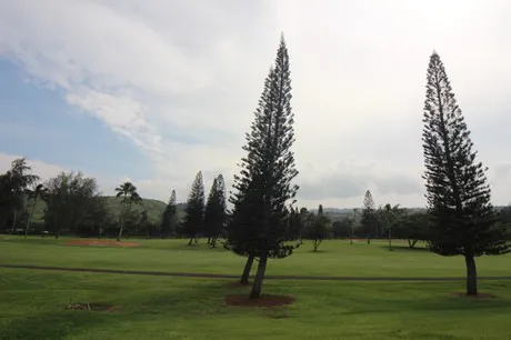 Kuilima Estates West #120 Golf Course View
