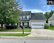 209 Caedmons Creek Drive, Irmo image