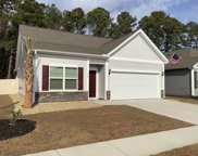 1226 Pyxie Moss Dr., Little River image