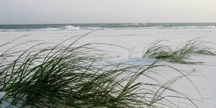 Navarre Beach Lifestyle