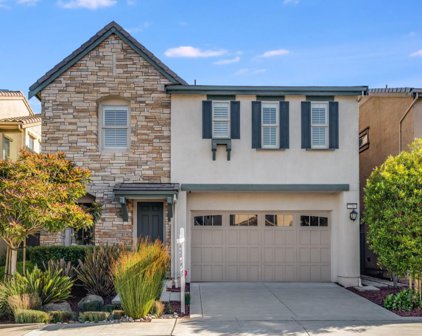 238 Crestview CIR, Daly City