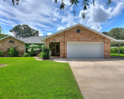 1091 Mcgregor Road, Deland