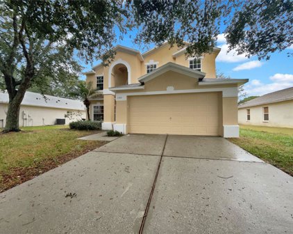 1301 Osprey Way, Apopka