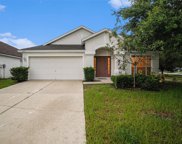 11440 Misty Isle Lane, Riverview image