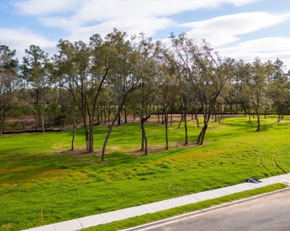 934 Fish Camp Road, Charleston