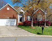 401 Basingdon  Court, Waxhaw image