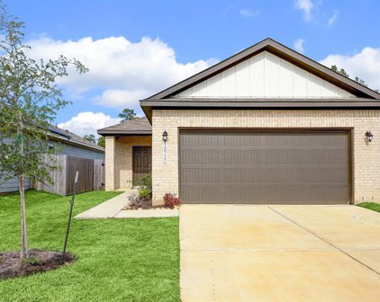 10722 Catclaw Court, Tomball