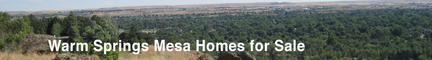 Warm Springs Mesa Real Estate