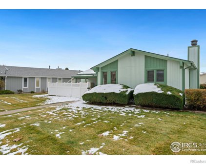 15 Irene Court, Broomfield