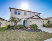 12918 Brookside Moss Drive, Riverview image