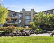 39078 Guardino Dr Unit #304, Fremont image