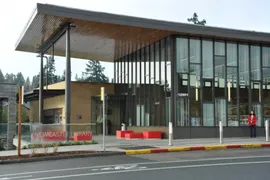newcastle library
