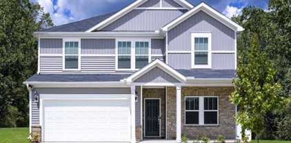 111 Lavinia, Lyman