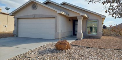 14264 Desert Orchid Drive, Horizon City