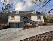 935 Mount Olive Drive, Pell City image