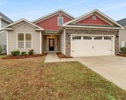 155 Ventnor Avenue, Chapin image